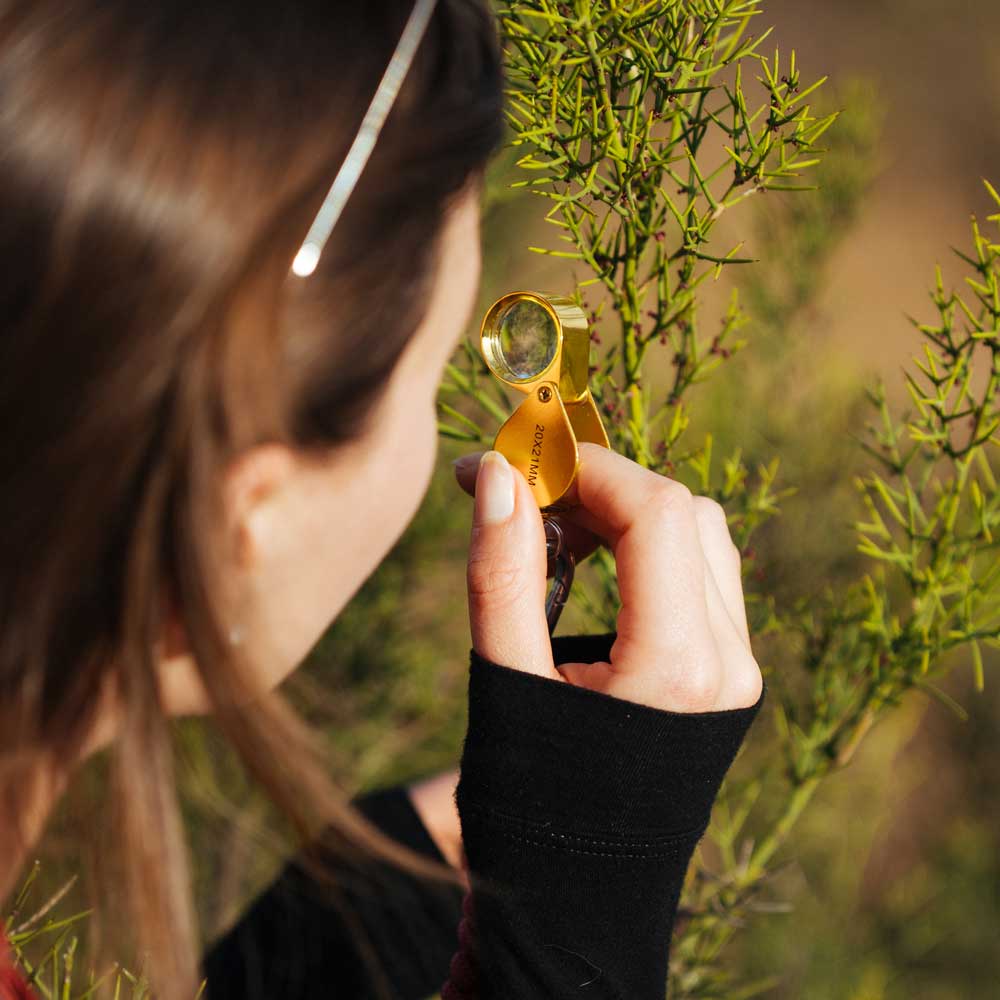 LUPA 20X + CORREA REGULABLE - Image 2